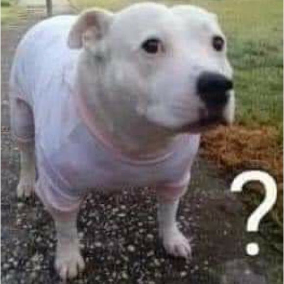 Meet your Posher, Blue - Picture 1 of 1